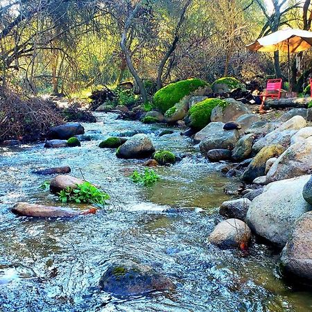 Magical River House ! 10 Min To Snp Park Entrance Three Rivers Exteriér fotografie