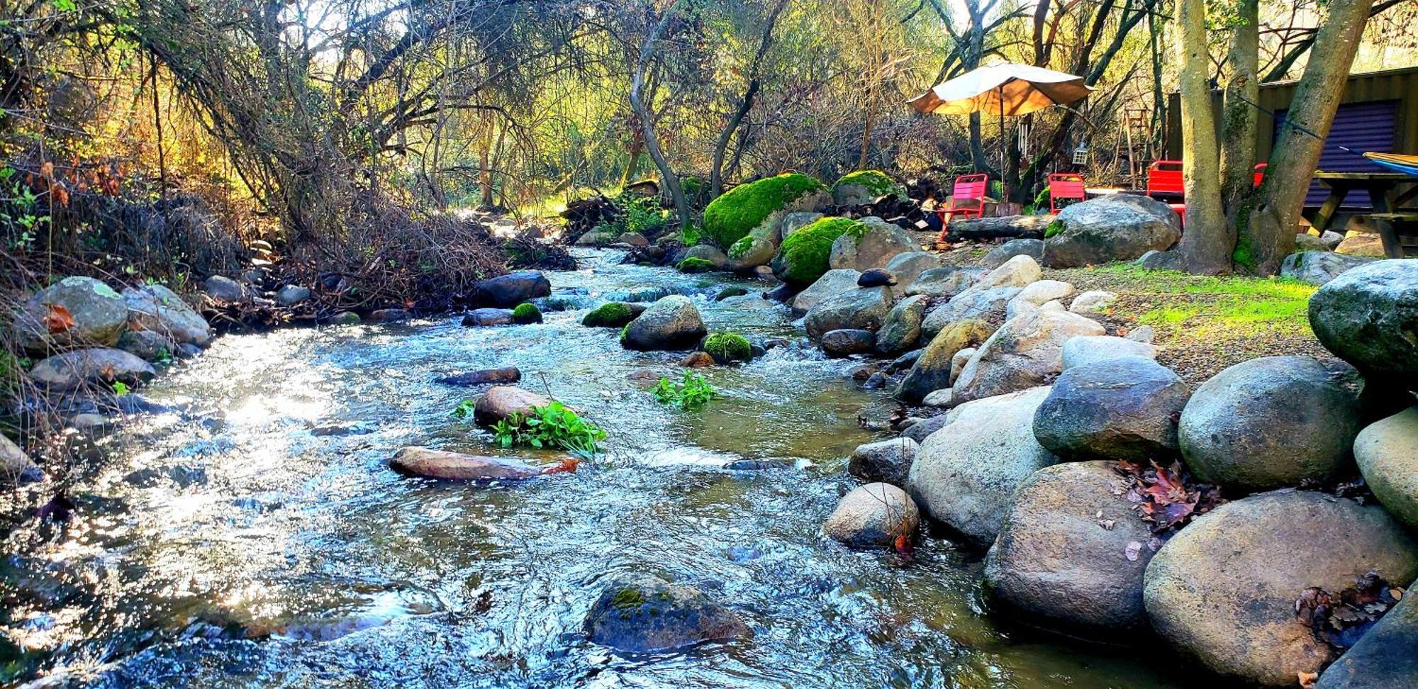 Magical River House ! 10 Min To Snp Park Entrance Three Rivers Exteriér fotografie