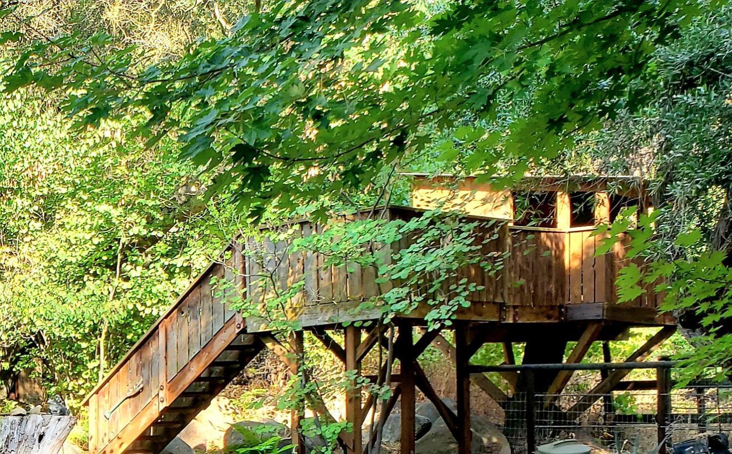 Magical River House ! 10 Min To Snp Park Entrance Three Rivers Exteriér fotografie
